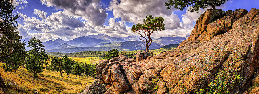 Rocky Mountain Bonsai Photograph by Fred J Lord