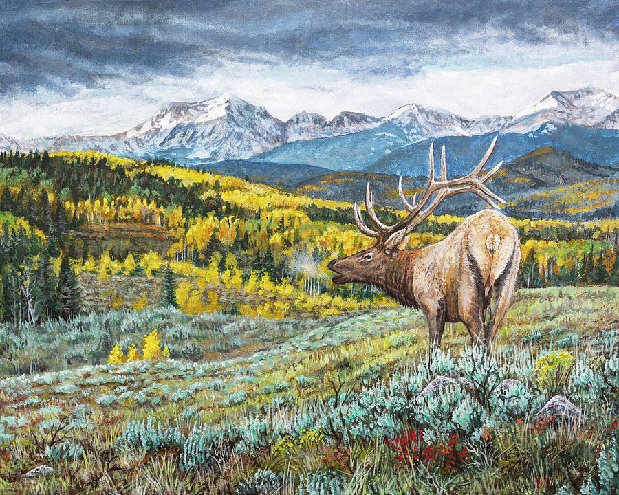 Rocky Mountain Bull Elk Painting by Aaron Spong