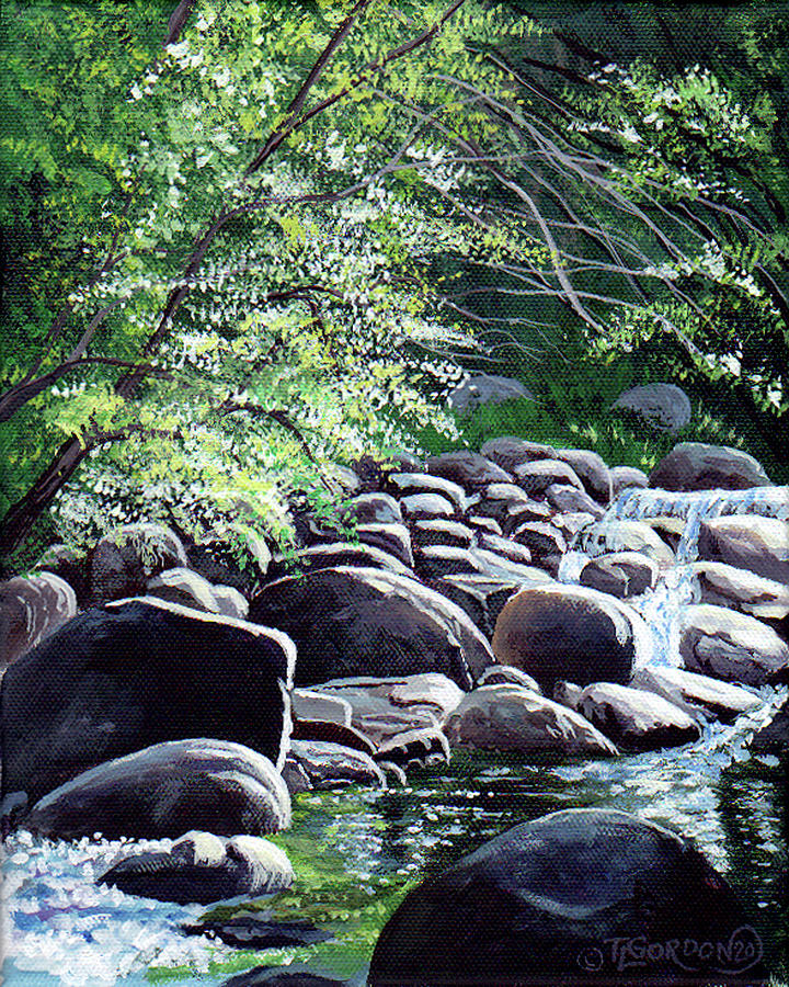 Rocky mountain creek Painting by Timithy L Gordon