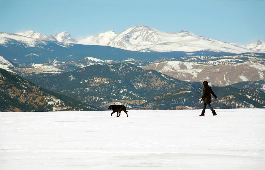 Rocky Mountain Dog Walking Photograph by Marilyn Hunt