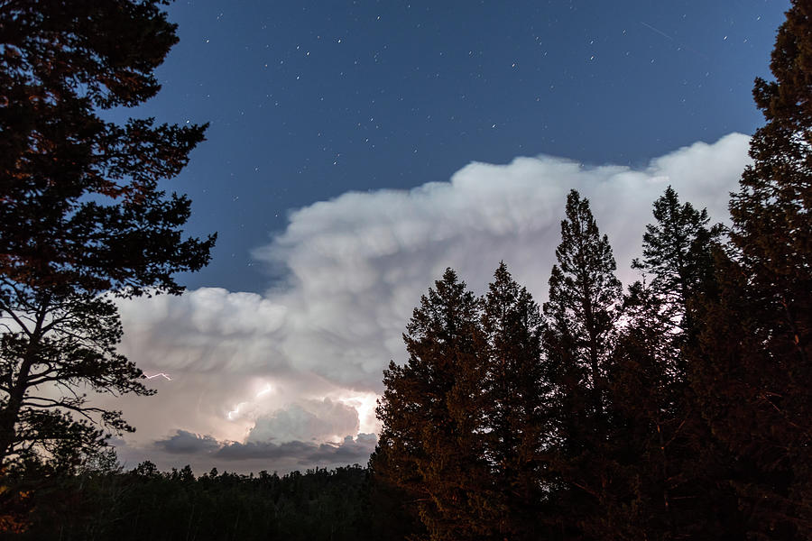 Rocky Mountain Forest Lightning Storm Photograph