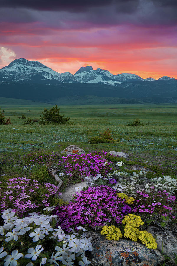 Rocky Mountain Front Magic / Augusta, Montana by Nicholas Parker Rocky Mountain Front Magic / Augusta, Montana by Nicholas Parker