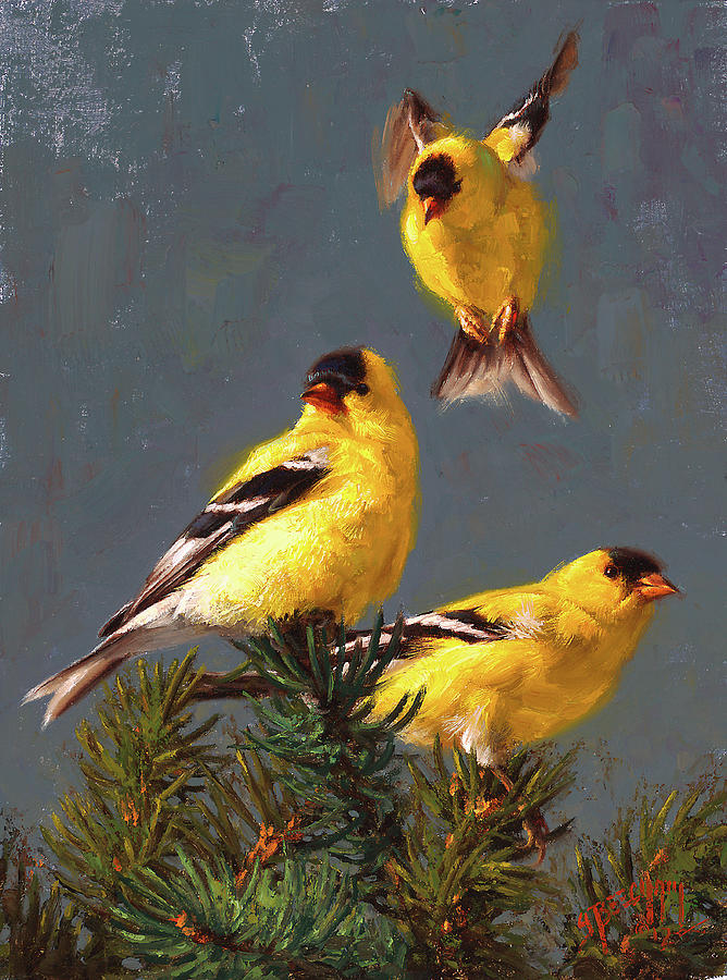 Finch Painting - Rocky Mountain Gold by Greg Beecham