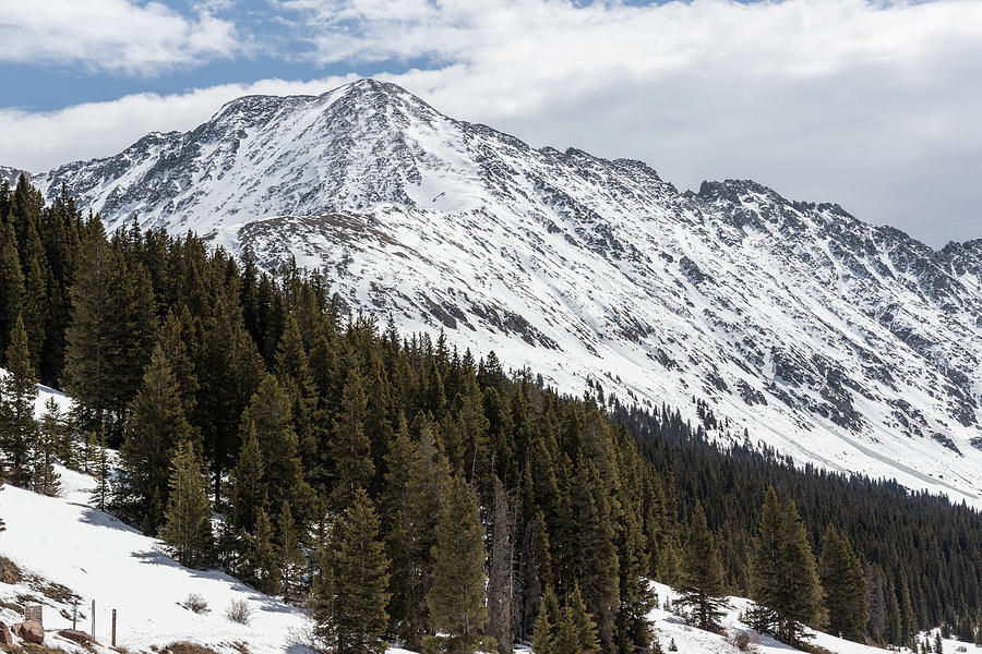 Rocky Mountain Landscape Trees and Mountain  Photograph by John McGraw