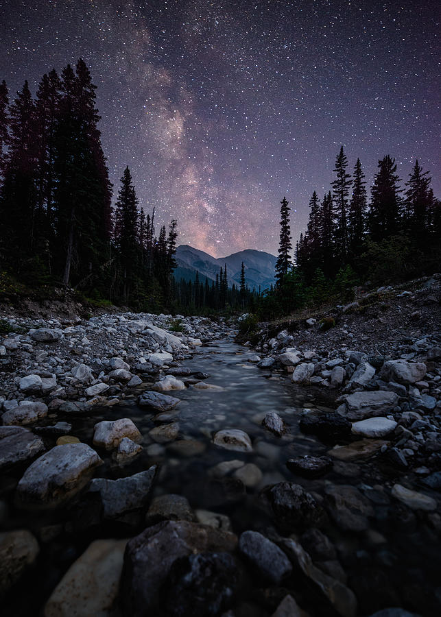 Rocky Mountain Midnight Photograph by Matt Hammerstein