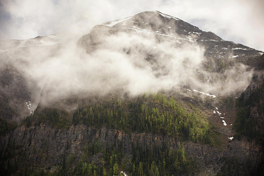 Rocky Mountain Mist Photograph by Carolyn Ann Ryan