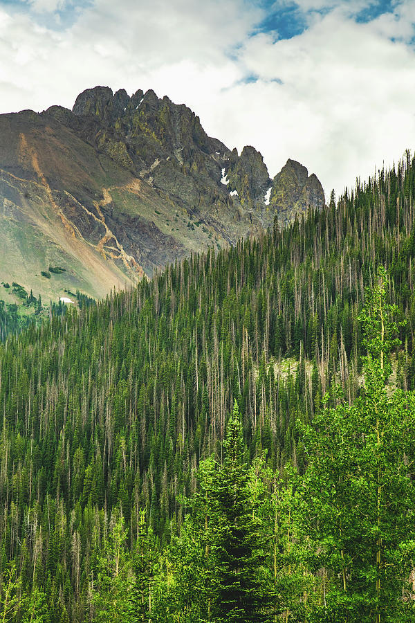 Rocky Mountain National Park 1 Photograph by Mati Krimerman