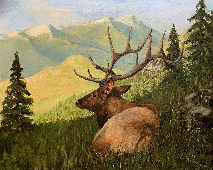 Rocky Mountain National Park Painting by Alan Lakin