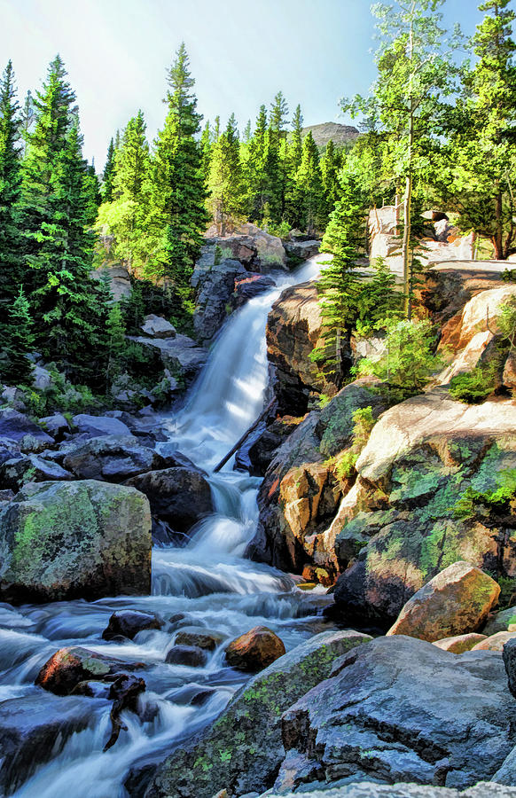Rocky Mountain National Park Alberta Falls Painting by Christopher Arndt