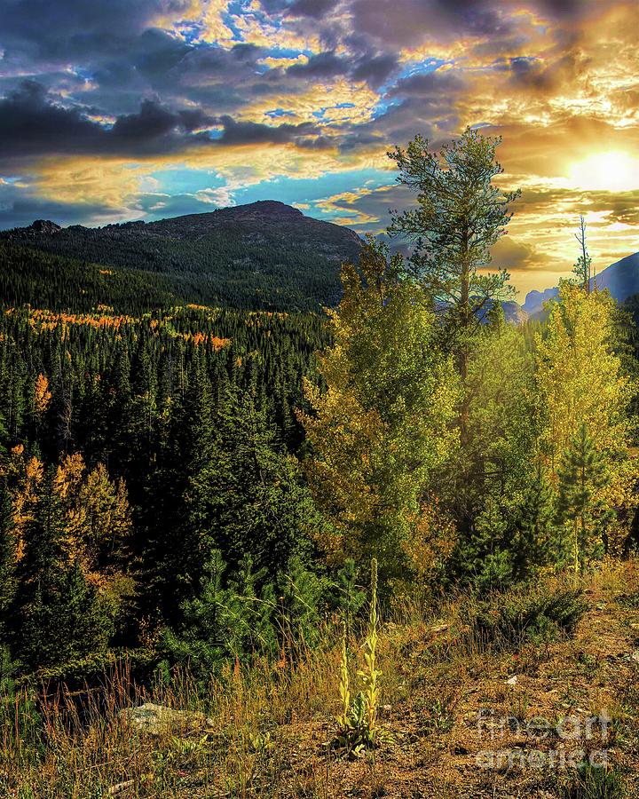 Rocky Mountain National Park Autumn Colors Photograph