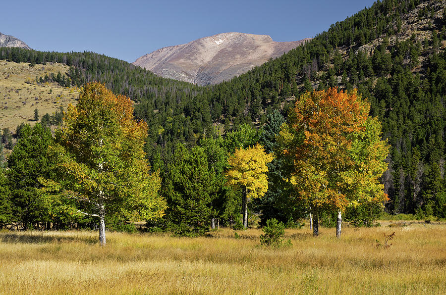 Rocky Mountain National Park Colorado - 8704-1 Photograph by Jerry Owens