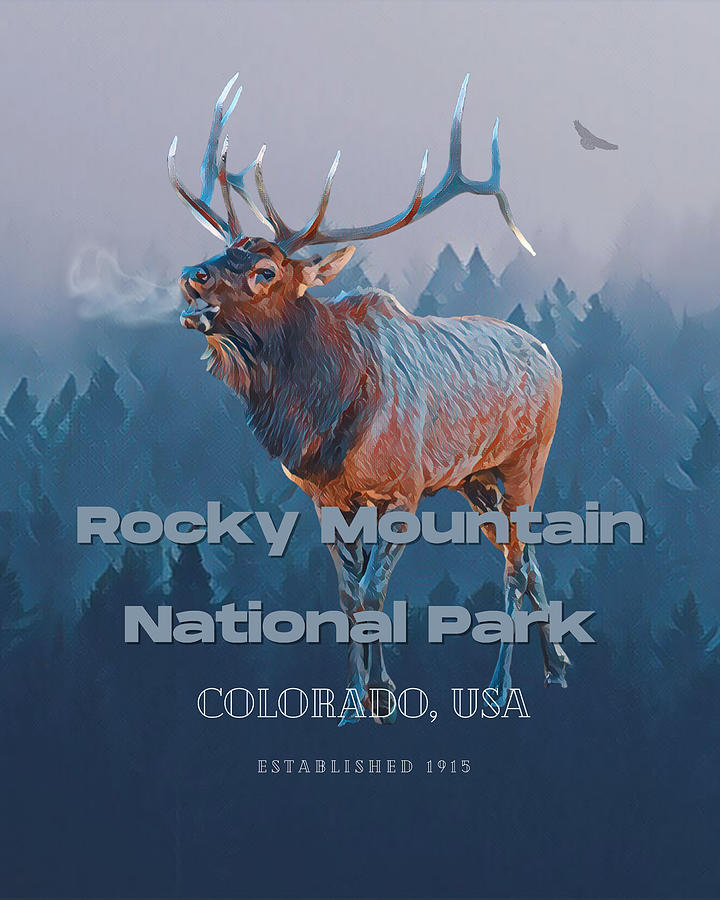 Rocky Mountain National Park Elk Poster Photograph by Christopher Thomas