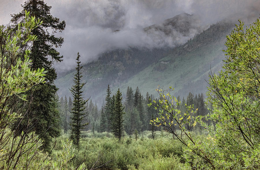 Rocky Mountain Rain Photograph by Marcy Wielfaert