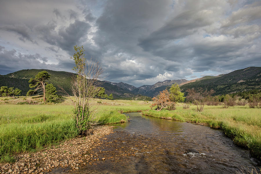 Rocky Mountain Stream Photograph by Joe Lukas | Fine Art America