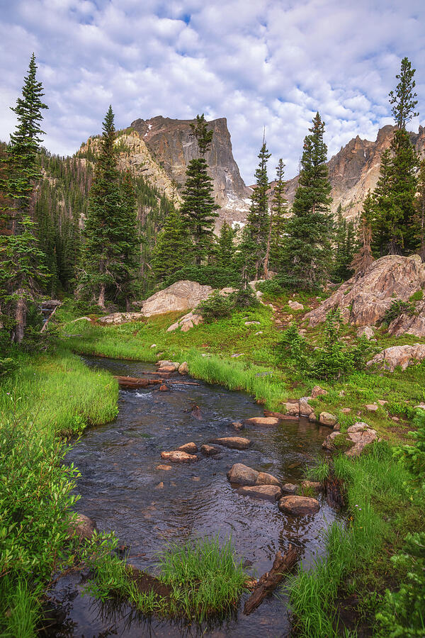 Rocky Mountain National Park Photograph - Rocky Mountain Views by Darren White