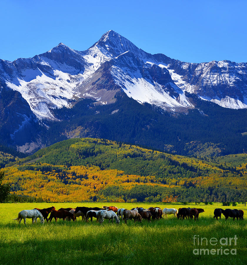 Rocky Mountains Beauty Photograph by David Lee Thompson