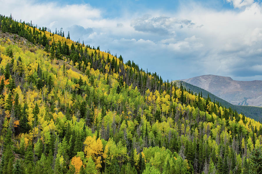 Rocky Mountains Fall Color Photograph by Kyle Hanson