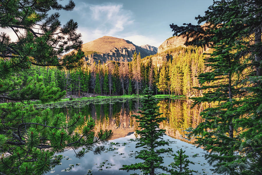 National Parks Photograph - Rocky Mountains Over Nymph Lake at Sunrise by Gregory Ballos