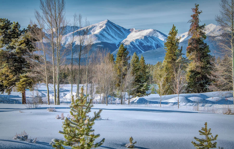 Rocky Mountains Winter Morning Photograph by Marcy Wielfaert