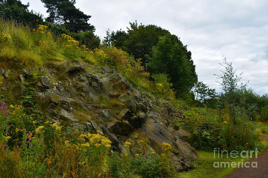 Rocky outcrop and wildflowers Photograph by Yvonne Johnstone