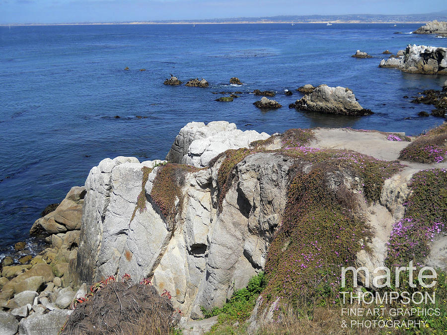 Rocky Outcrop Gardens Photograph by Marte Thompson - Pixels