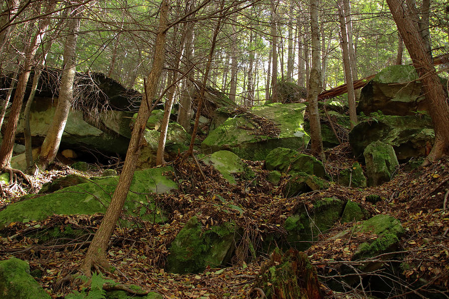 Rocky Pathway Photograph by Jeffrey Smith - Pixels