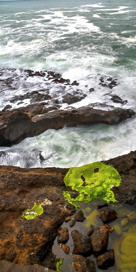 Rocky Point Surf Lichen Tide Pool Photograph by Jerry Sodorff