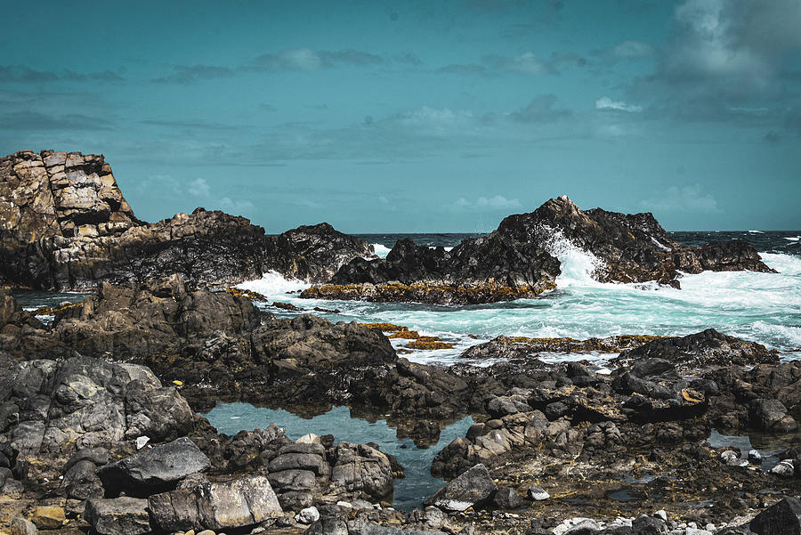 Landscape Photograph - Rocky pools of water of the coast of Aruba connecting to the ocean by Alisha Watson