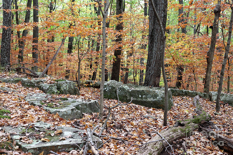 Rocky Ridgetop Hike - Southern Indiana Photograph by Scott D Van Osdol ...