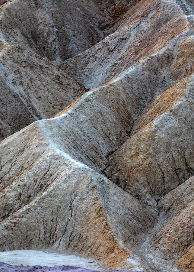 Rocky Ridges and Textures Photograph by Lindley Johnson