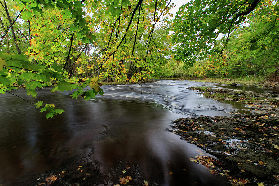 Rocky Run Creek Fall Leaves Photograph by Neal Nealis