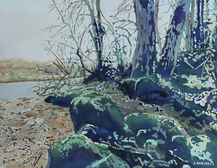 Rocky Shore  Painting by Jenny Armitage
