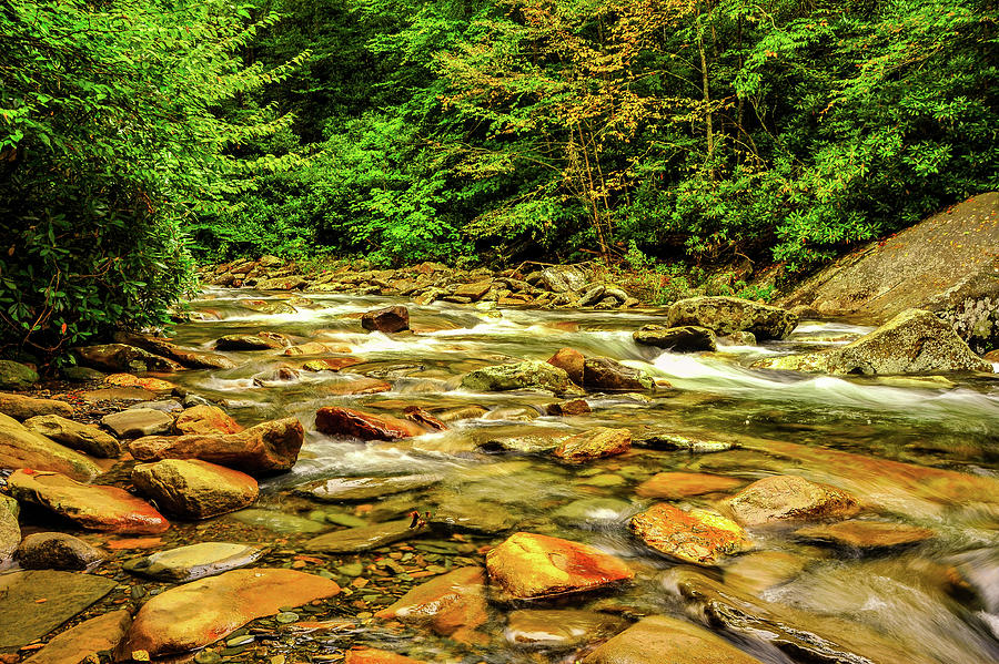 Rocky Stream in the Smokies 003 Photograph by James C Richardson