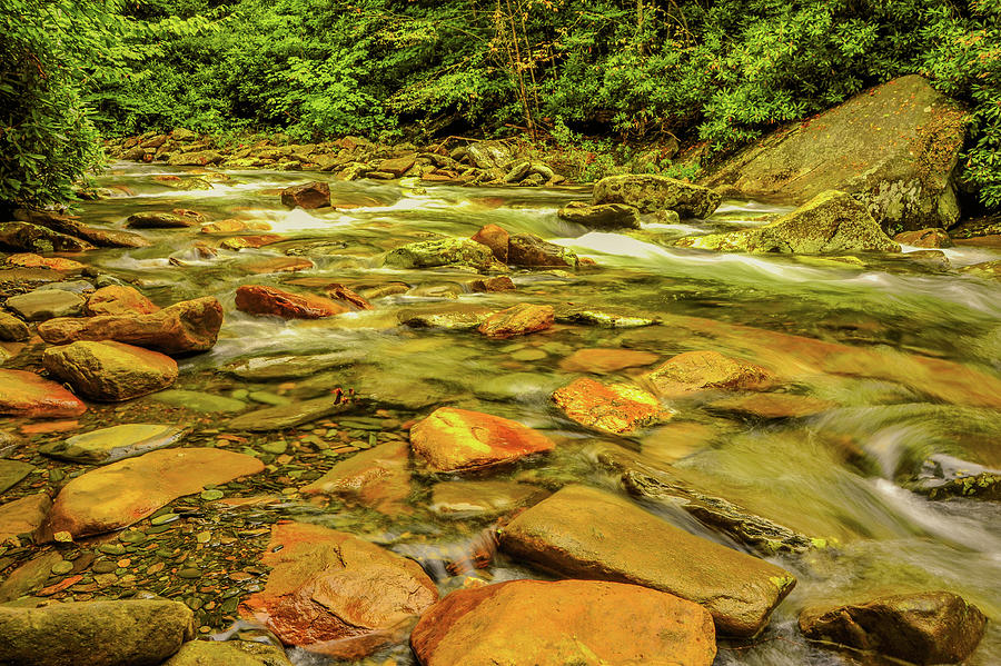 Rocky Stream in the Smokies Photograph by James C Richardson