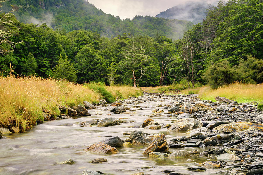 Rocky Stream Photograph by Jan Fijolek