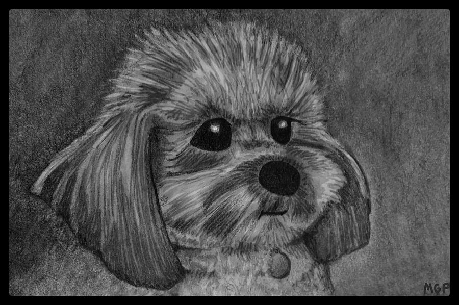 Rocky The Dog Portrait W/ Border Drawing