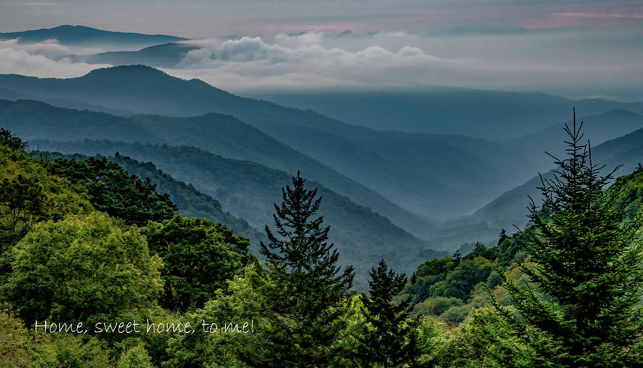 Rocky Top, Tennessee Photograph by Marcy Wielfaert