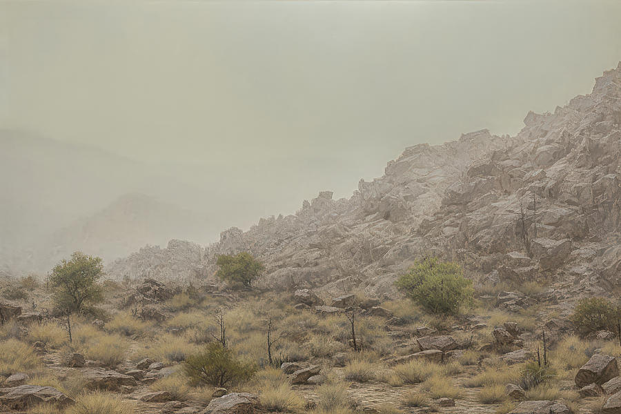 Rocky Wilderness Digital Art by Bill Posner