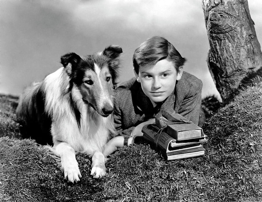 RODDY MCDOWALL in LASSIE COME HOME -1943-, directed by FRED M. WILCOX. Photograph by Album