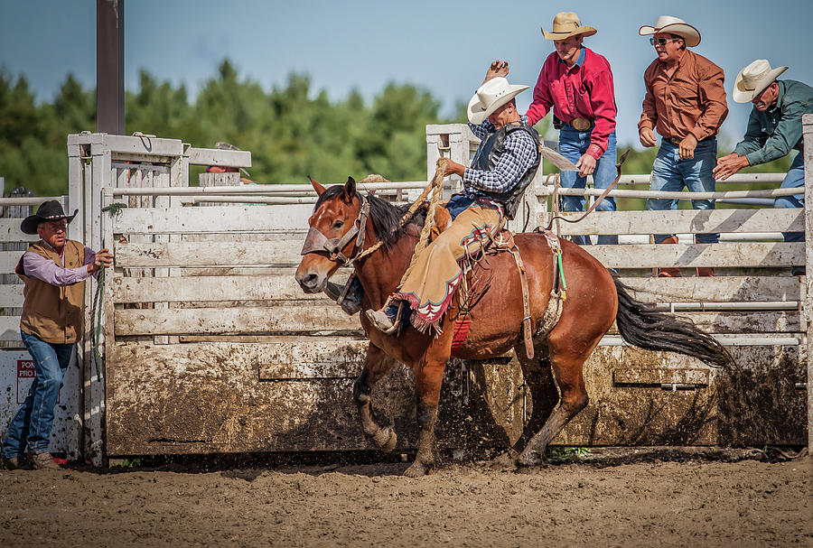 Rodeo 10 Photograph by Suzanne Bauer Photography | Fine Art America