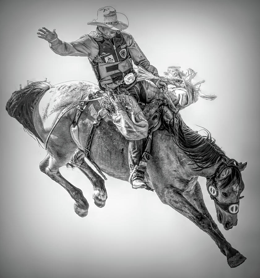Rodeo Bronc Rider in Black and White Painting Digital Art by Rebecca Herranen