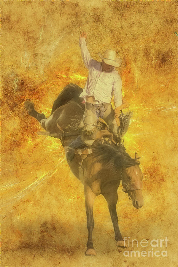 Rodeo Bronco Riding Sunburst Digital Art by Randy Steele
