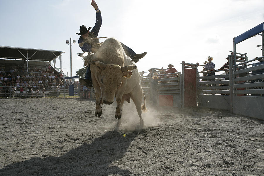 Rodeo - Bull Riding Photograph by Twohumans