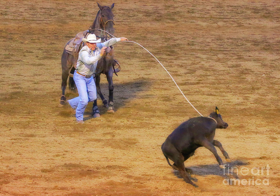 Rodeo Calf Roping Cowboy Two Digital Art by Randy Steele