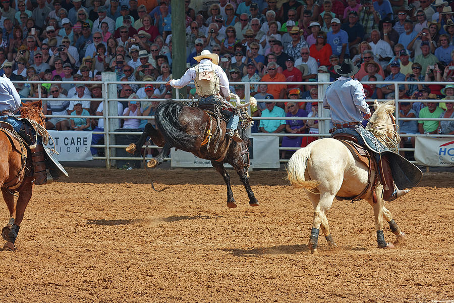 Rodeo Competition Photograph by Sally Weigand