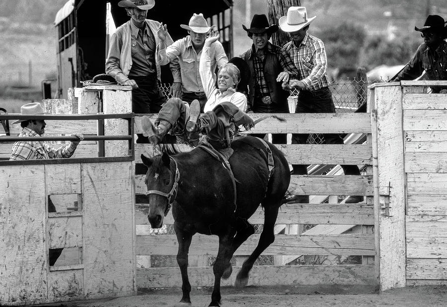 Rodeo Photograph by Harry Spitz
