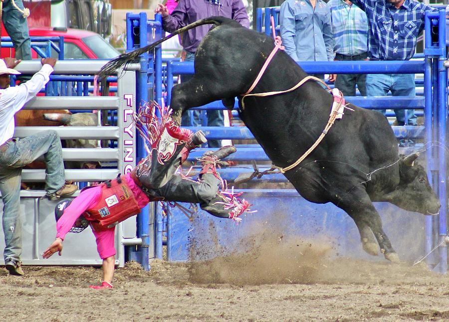 The Bull Wins Photograph by Joy Buckels