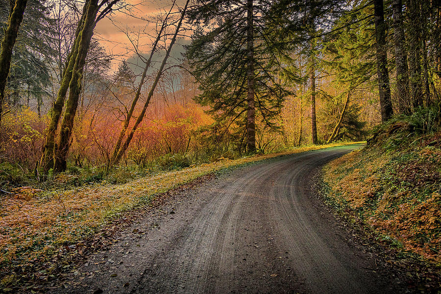 Road to Autumn Photograph by Bill Posner