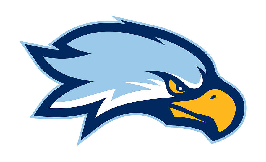 Roger Williams University hawks Digital Art by Aleda Alika - Fine Art ...