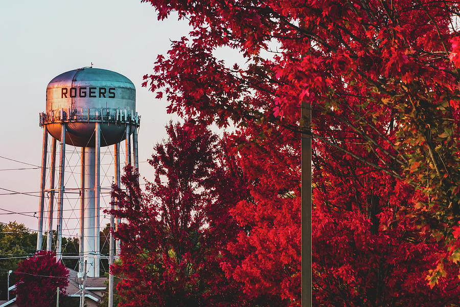 Rogers Arkansas Water Tank in the Fall Photograph by Gregory Ballos